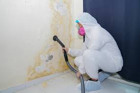 Best HVAC Mold Inspection and Cleaning in Palermo, CA